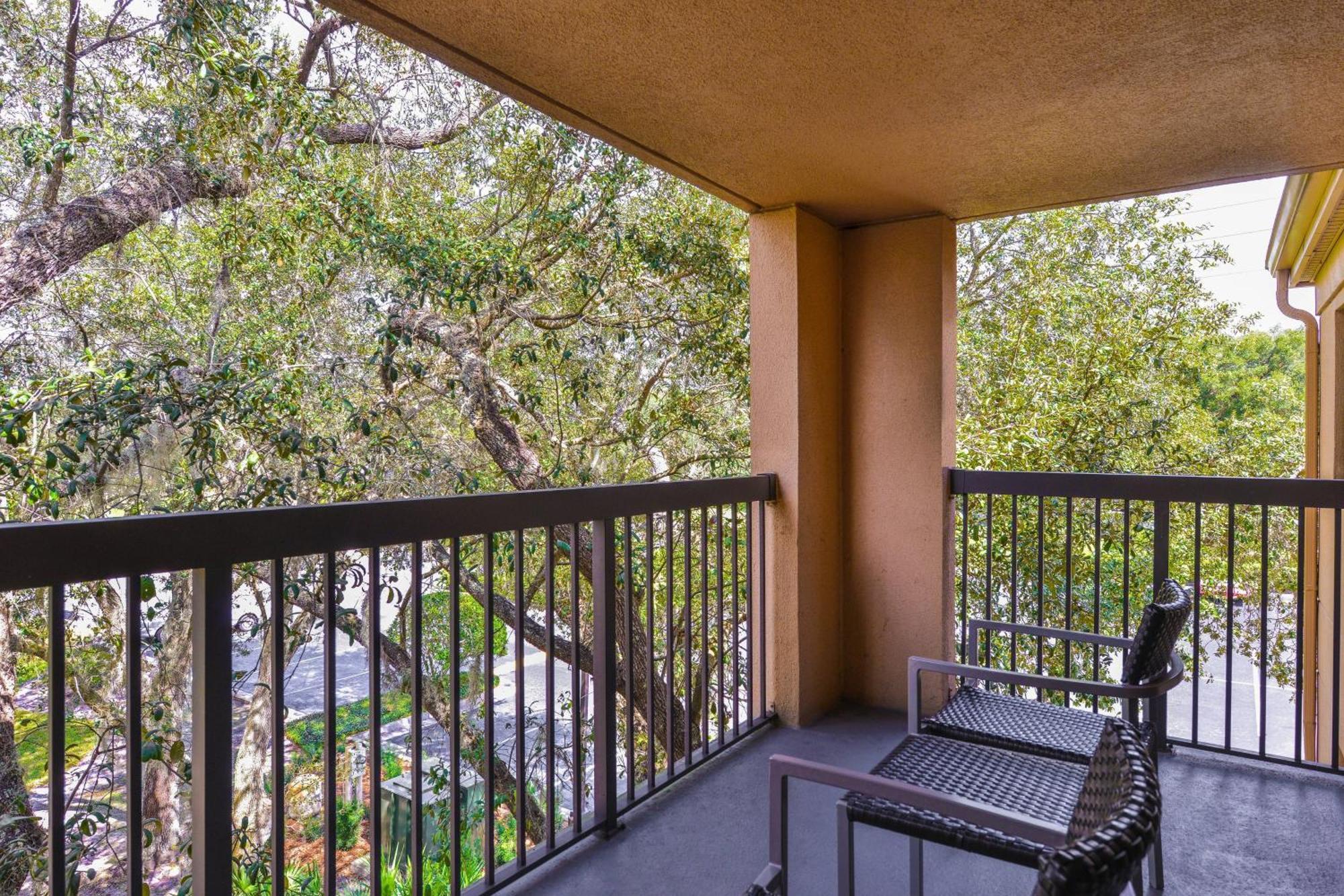 Courtyard Tampa North / I-75 Fletcher Eksteriør billede